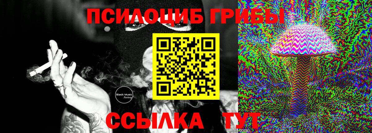 Псилоцибиновые грибы прущие грибы  Вход с VPN  Грязи 