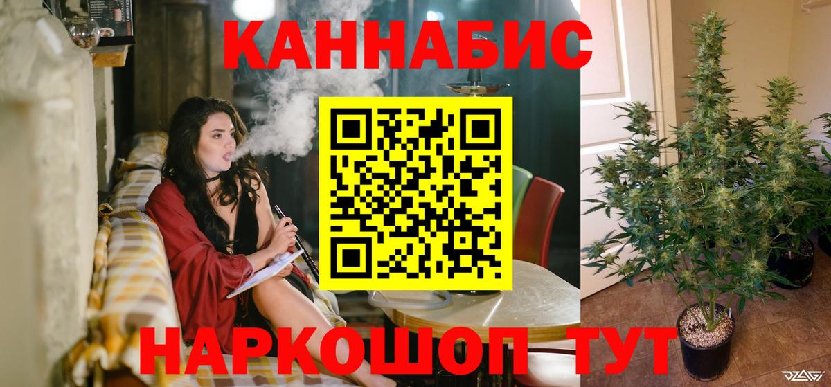 Марихуана семена  Конопля OG Kush  Грязи  Конопля ГИДРОПОН 